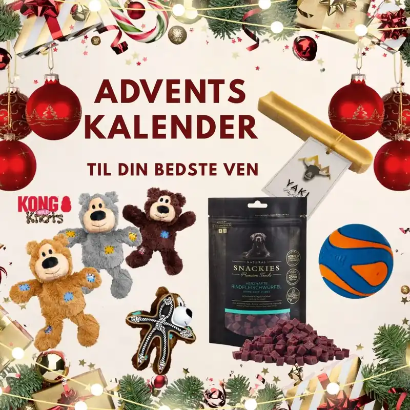 Hooked4pets Adventskalender 4 Gåvor Till Mellanstor Hund Bästa pris